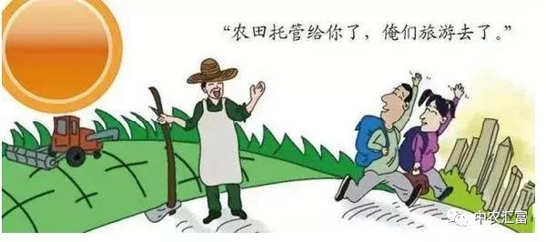 农村土地托管合作社实操指南与收益解析