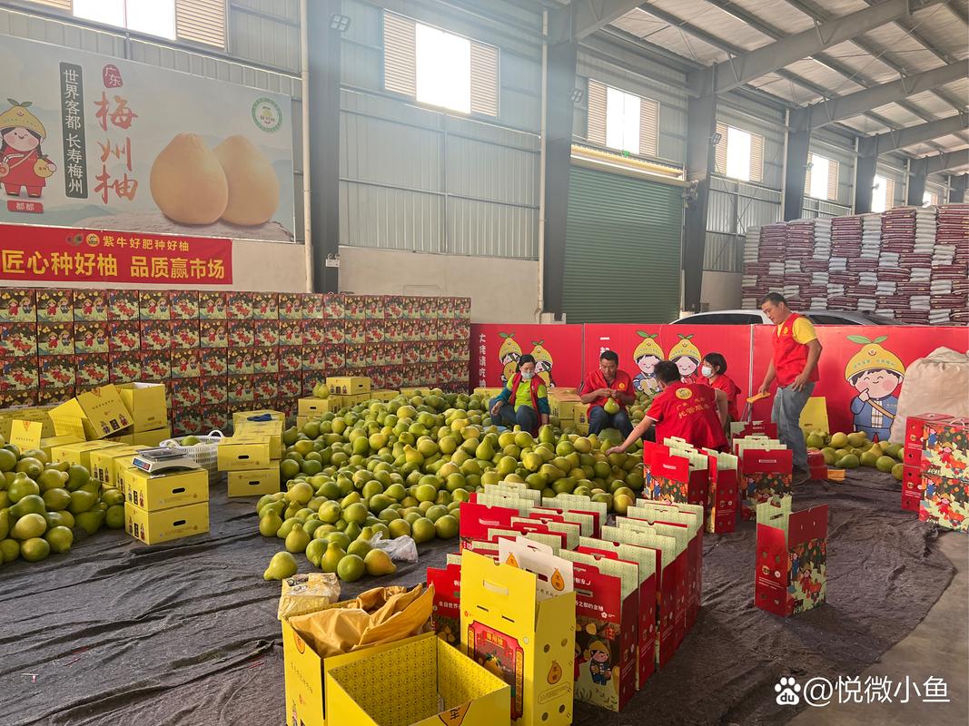 农业生产托管服务 梅州市志颖农资的转型之路与行业启示