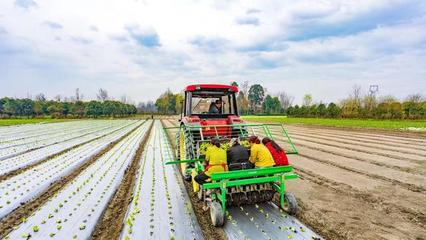 聚焦市委农村工作会④ 今年全市粮食播种面积要达570.7万亩以上 农业生产托管服务
