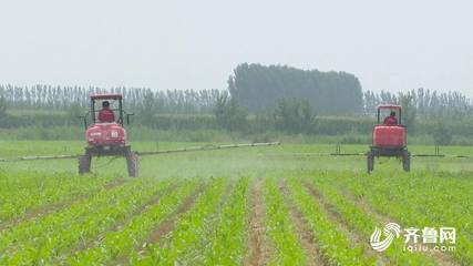 德州齐河 构建市场化托管服务模式，为现代农业注入新动能