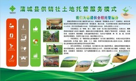 农业托管服务 从概念到实践的全方位视觉指南与资源宝库