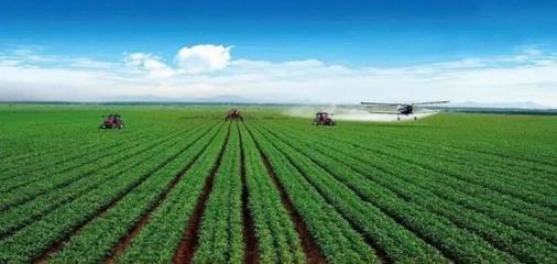 临期食品市场崛起，百果园拓展果蔬全产业链布局