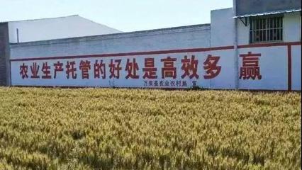 农业托管模式再启新篇 45亿补贴落地，六成红利直抵农民腰包
